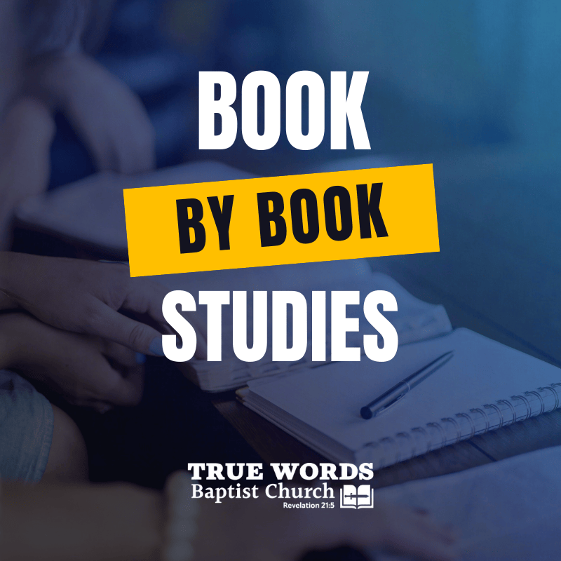 bible book by book studies