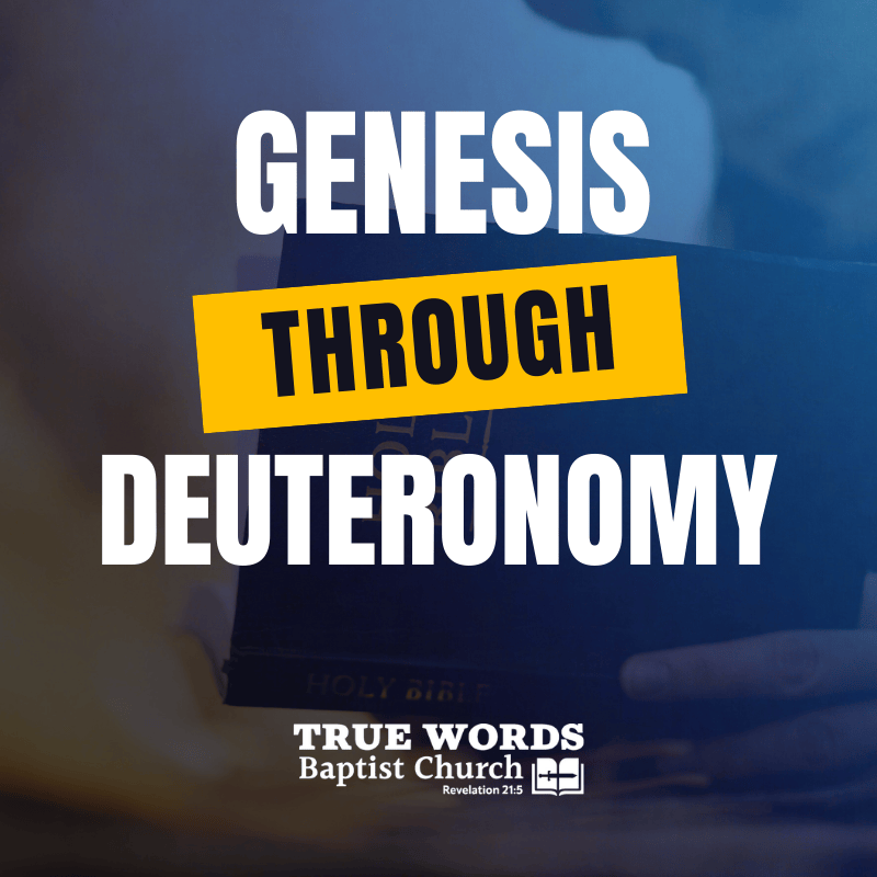 genesis through deuteronomy
