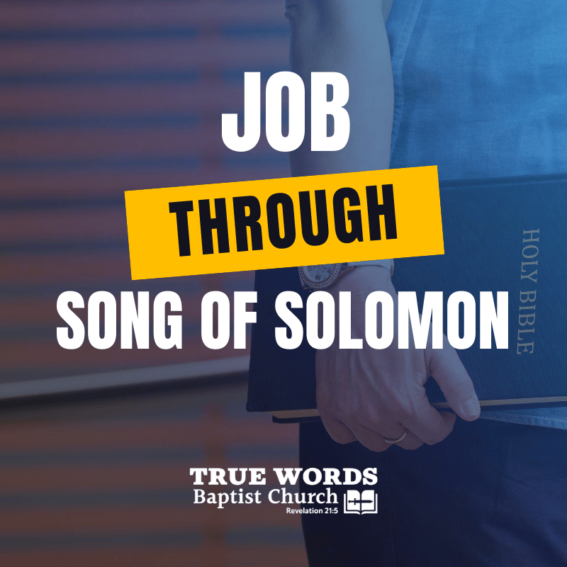 job through song of solomon