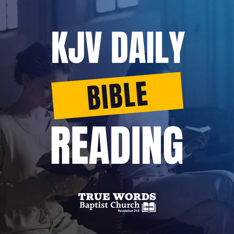 kjv daily bible reading