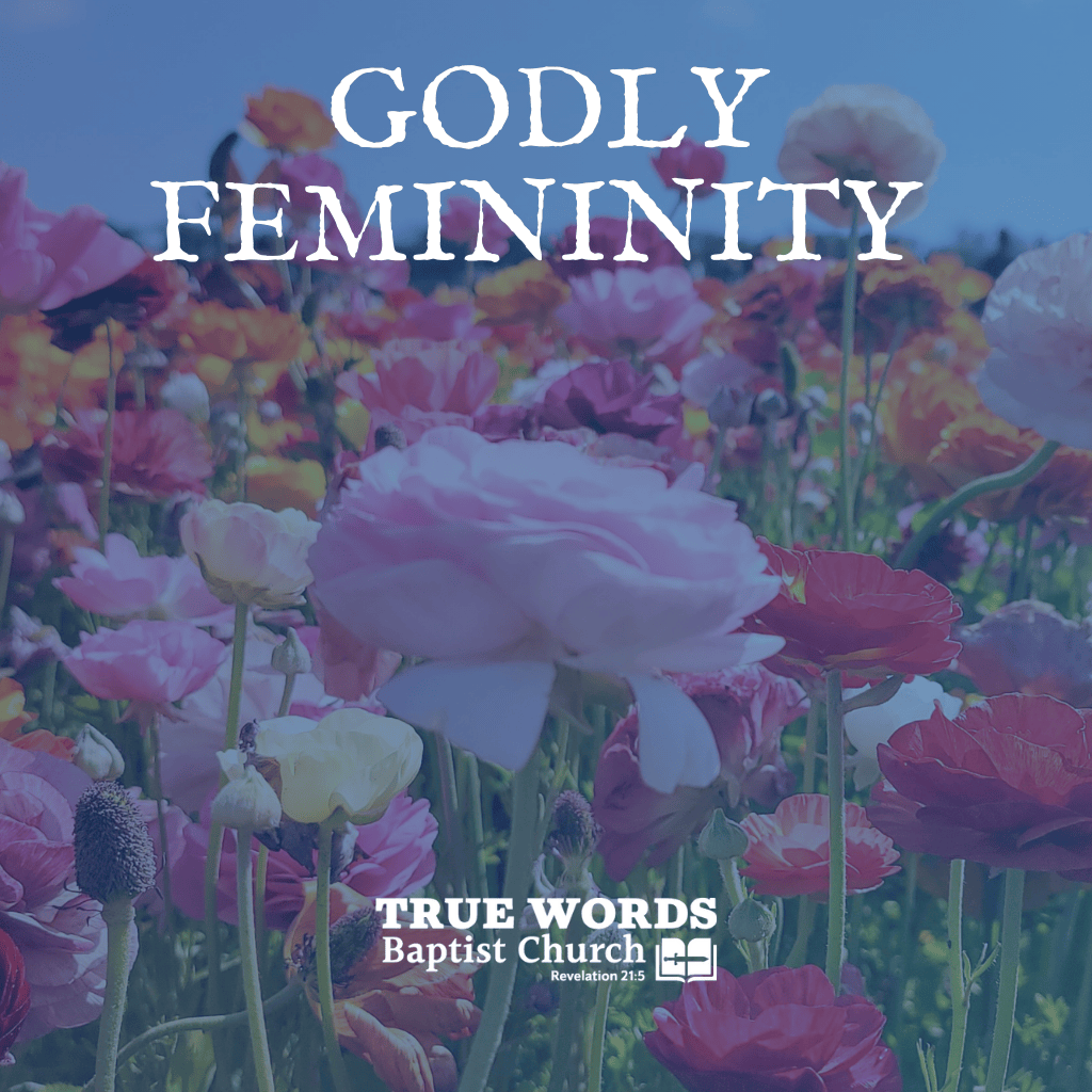 Godly Femininity (KJV)