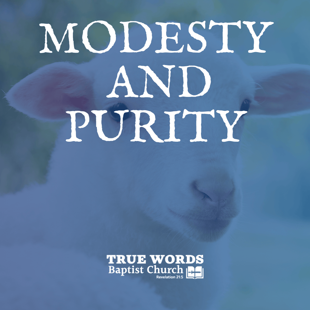 Modesty and Purity (KJV)