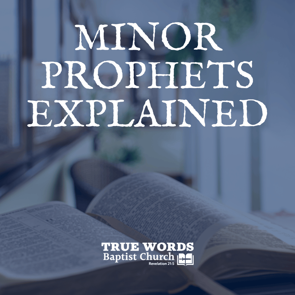 Minor Prophets Explained (KJV)
