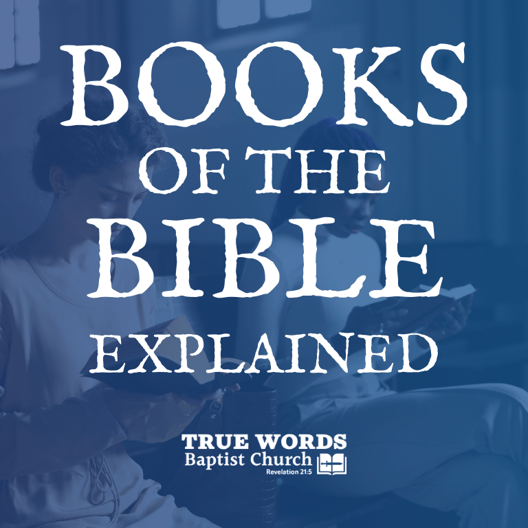 books of the bible explained