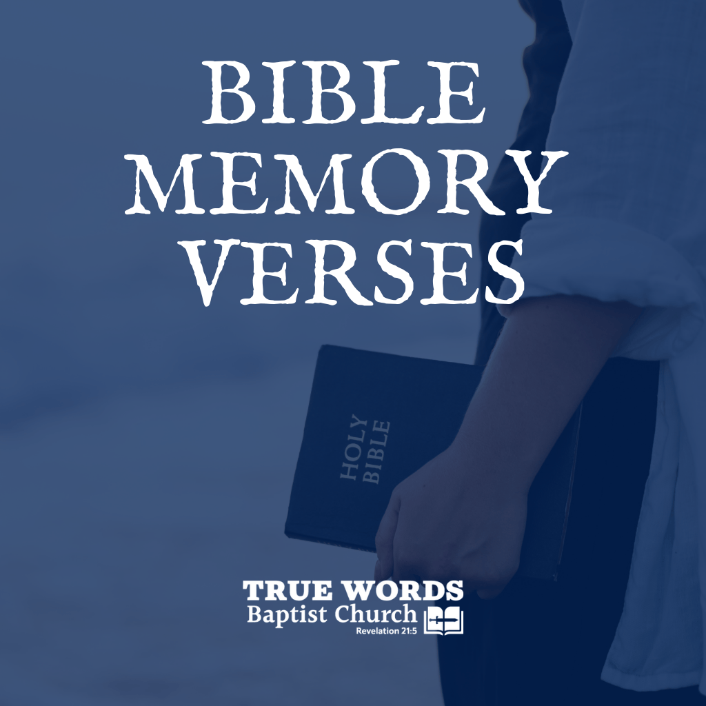 Bible Memory Verses (KJV)