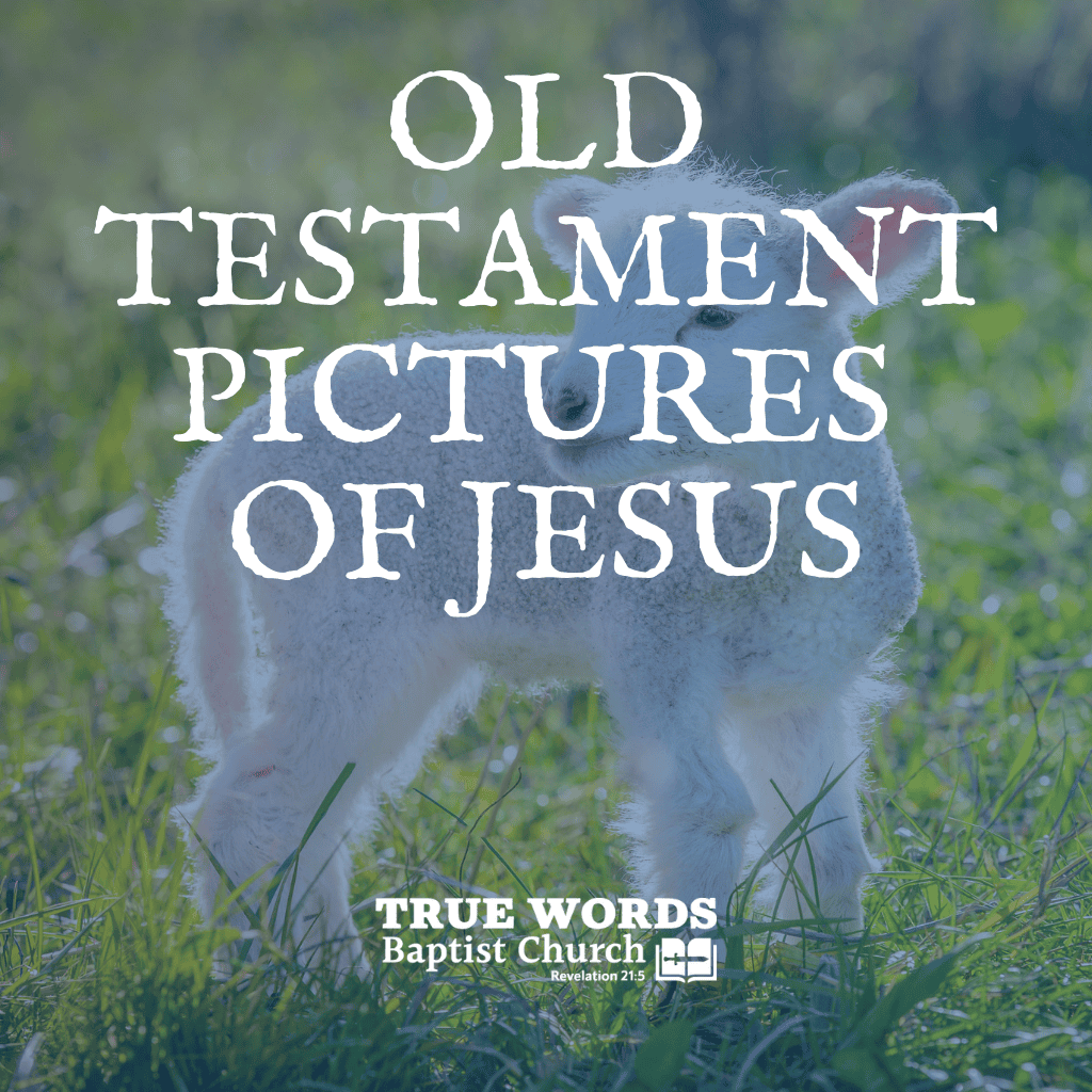 Old Testament Pictures of Jesus