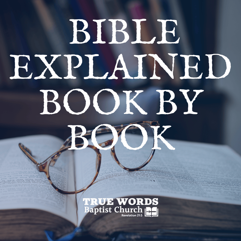 Bible Explained Book by Book (KJV)