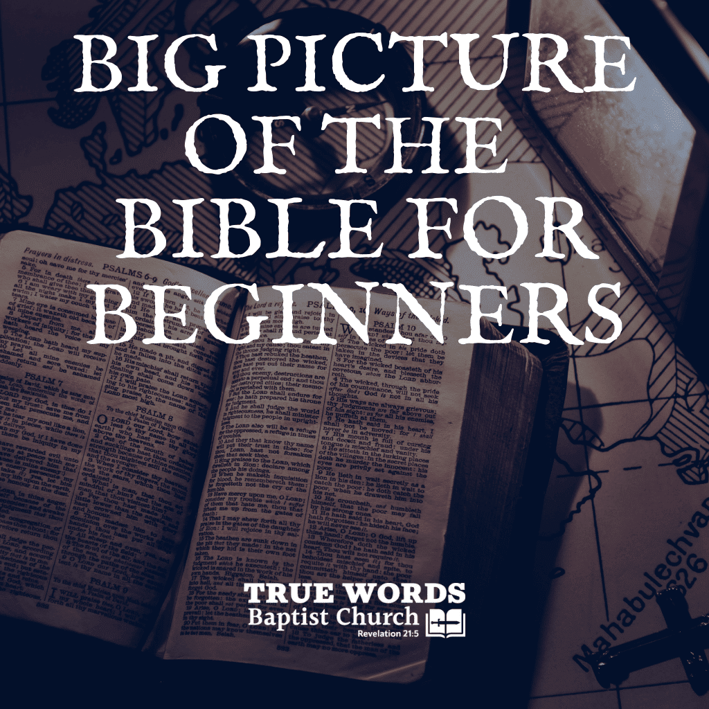 Big Picture of the Bible for Beginners (KJV)