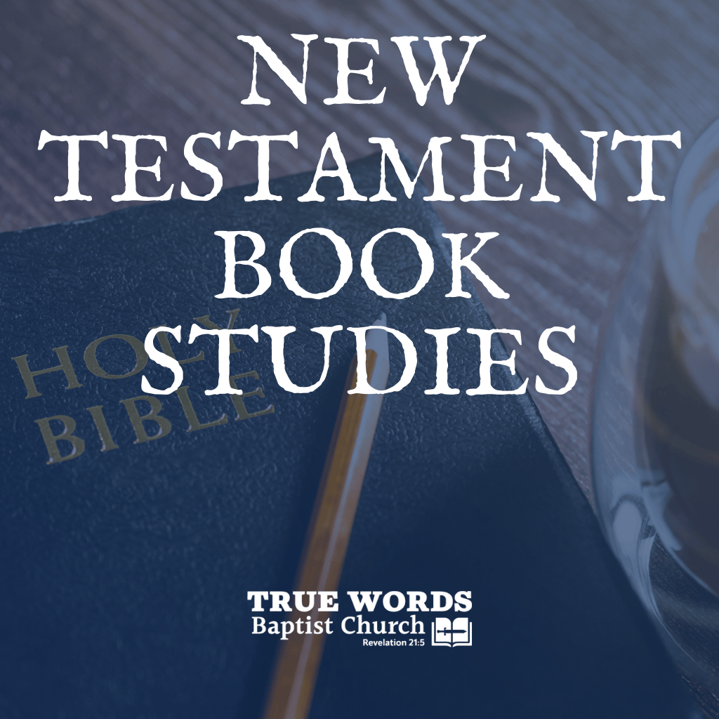 New Testament Book Studies (KJV)