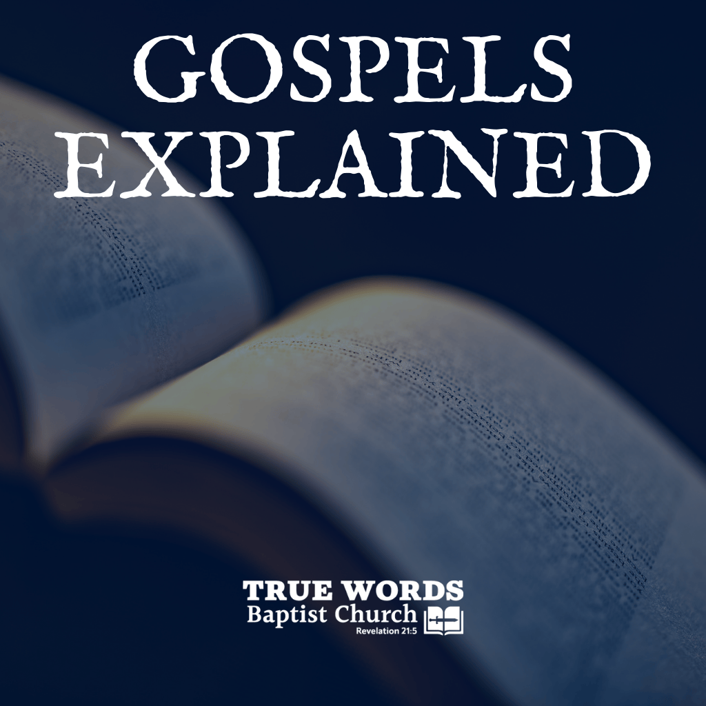 Gospels Explained (KJV Study)