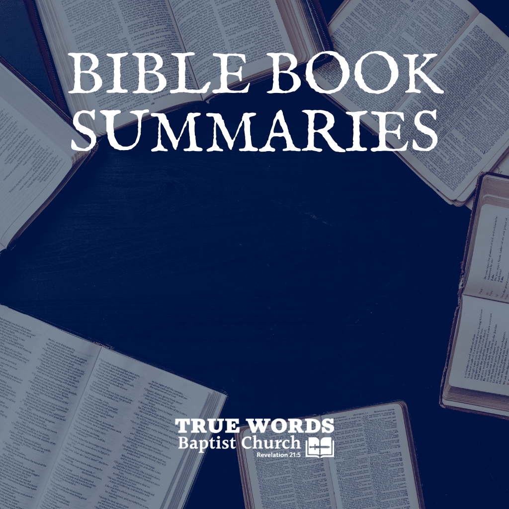 Bible Book Summaries (KJV)