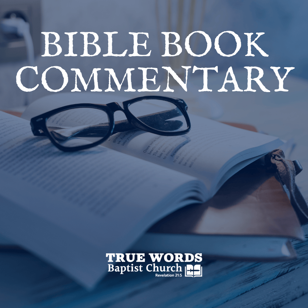 Bible Book Commentary (KJV)