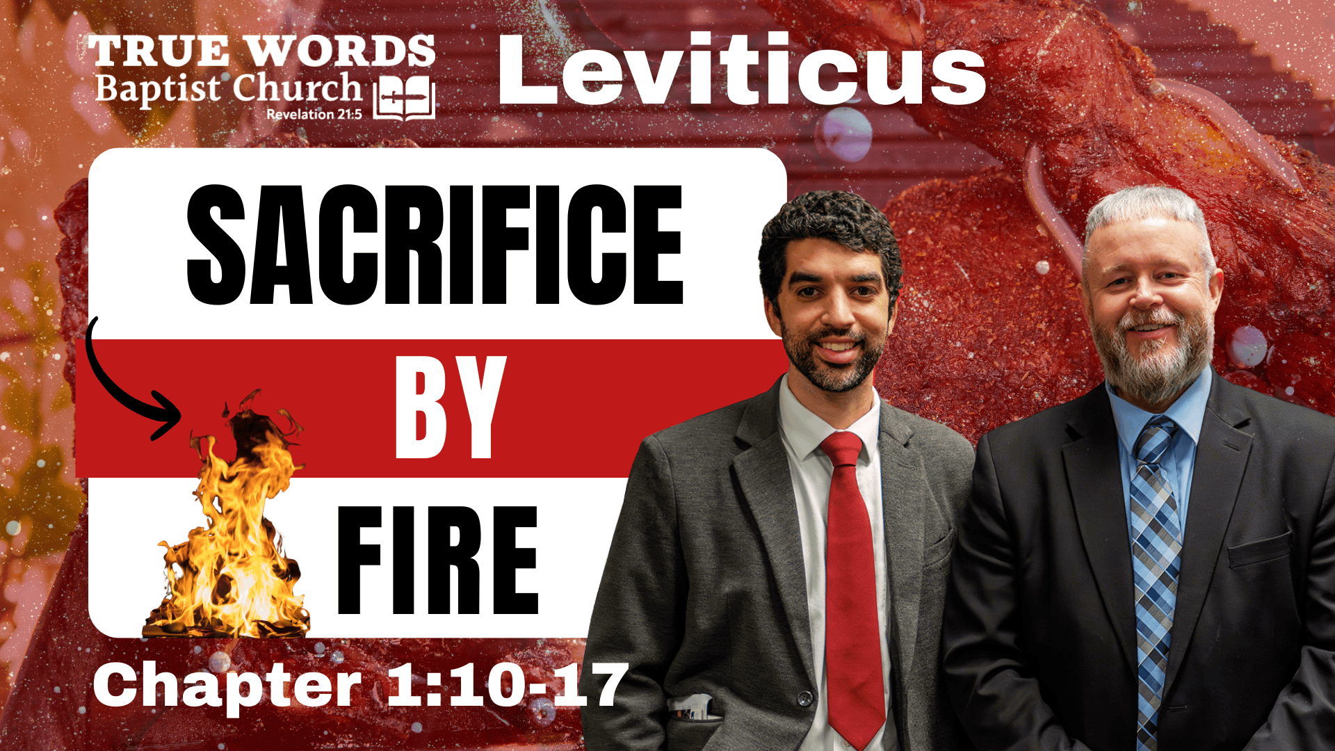 Sacrifice by Fire: Leviticus 1:10-17 Explained